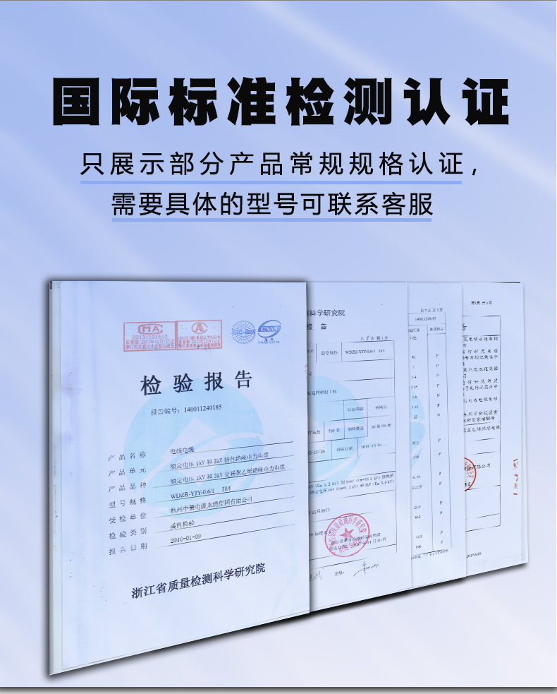 檢測報告