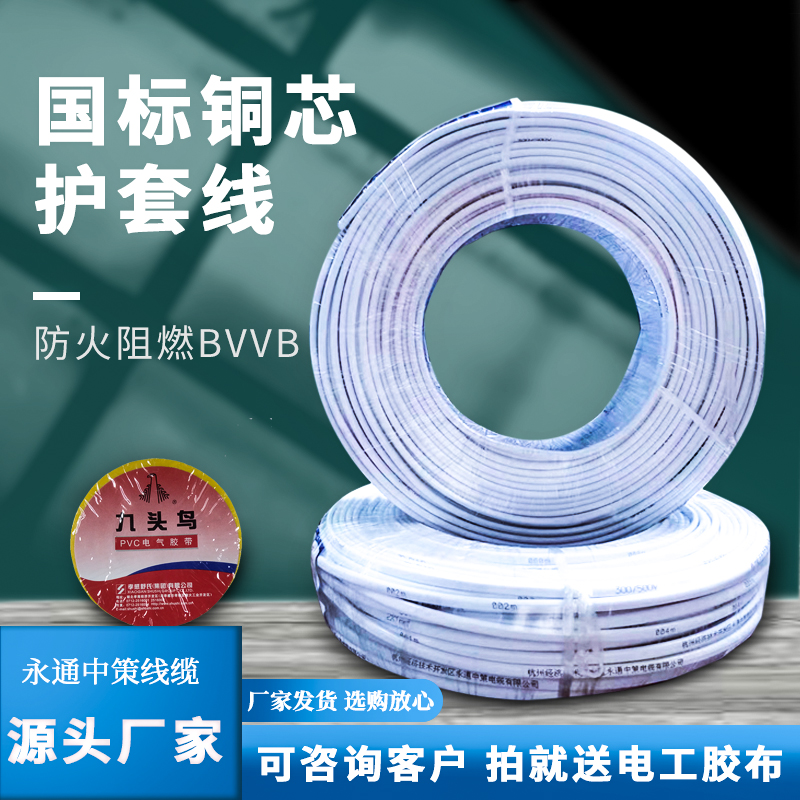 2x6平方 杭纜ZR-BVVB 護套線2芯 國標純銅扁平電線